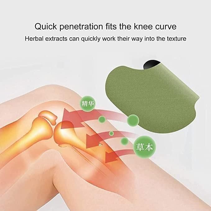 TRUST VIBEZ Japanese Herbal Knee Pain Relief Patches Pack of 20