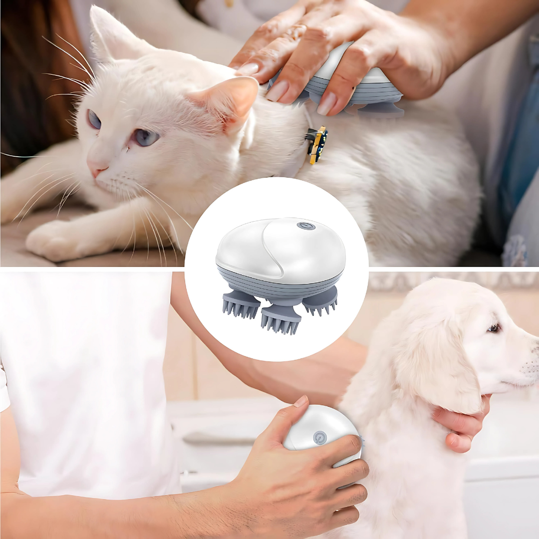 Portable Head Massager